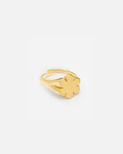CHUNKY KALMUS RING