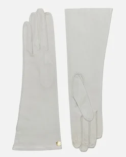 DAGMAR 6