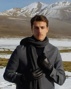 HARRY