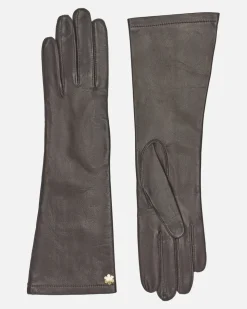 SOPHIA 6