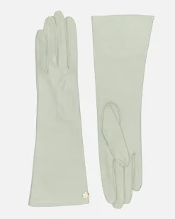 SOPHIA 6